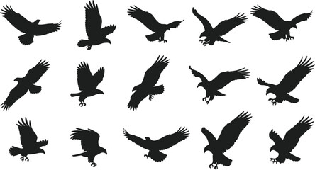 Eagle silhouette collection, flying and landing poses, black bird shapes, wildlife vector, isolated on white background