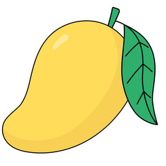 vector illustration of mango friut