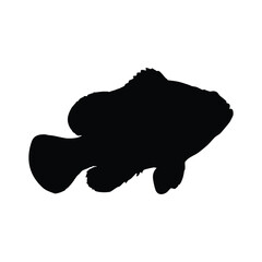 silhouette image of a black grouper
