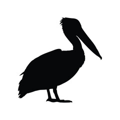 silhouette image of a black pelican