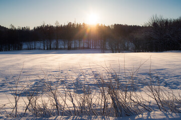 森の向こうから昇る朝陽が雪に覆われたを照らす冬の朝。眩しい太陽の光と森のシルエット。