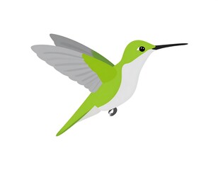 Obraz premium Digitally rendered illustration of a small hummingbird in flight with green and grey plumage
