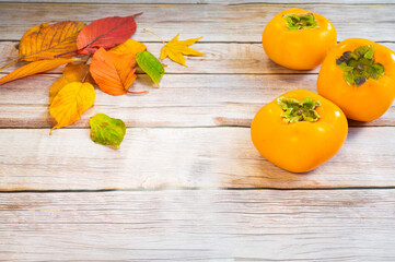 【秋の味覚】落ち葉と柿