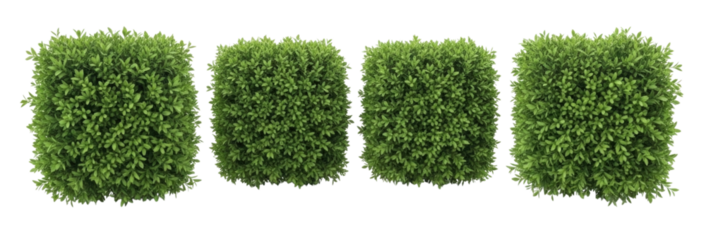 Four rectangular green bushes transparent background cutout png