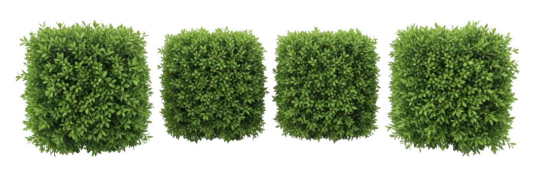 Four rectangular green bushes transparent background cutout png
