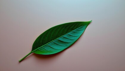Detailed Close-Up of a Large Green Leaf on a Soft Pink Background with a Smooth Surface