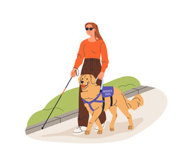 Service dog guiding blind person outside. Canine breed, golden retriever helping woman with disability, blindness, walking in glasses with stick. Flat vector illustration isolated on white background