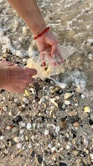 gathering trash on the beach