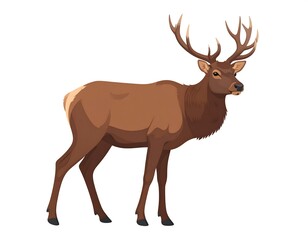 Obraz premium Digitally created illustration of a brown elk with large antlers, isolated on white background