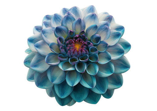Close-up of a vibrant blue and white dahlia, fully bloomed, with dark center, against black