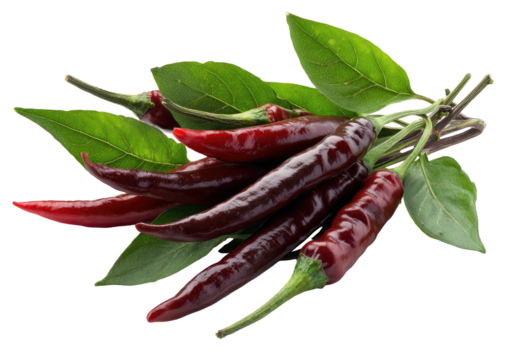 Dark red chilies with vibrant green leaves, on a transparent background