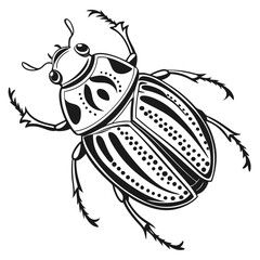Detailed scarab beetle featuring intricate patterns and spiky legs contrasts against a white backdrop