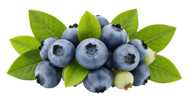 A cluster of fresh blueberries with green leaves, isolated on transparent background