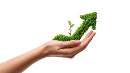 Hand Holding Green Moss Arrow on Transparent Background – Sustainable Growth Symbol PNG