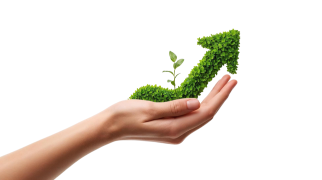 Hand Holding Green Moss Arrow on Transparent Background – Sustainable Growth Symbol PNG