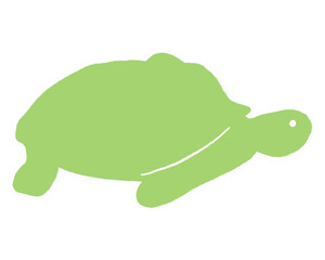 turtle illustration