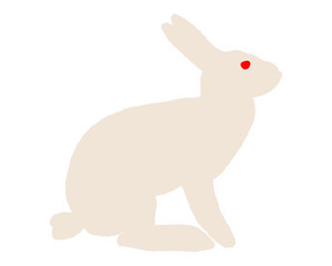  illustration of a rabbit