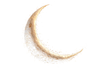 Realistic  Moon on White Background