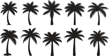 Collection of silhouette palm trees isolated on white background for tropical design elements