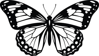 Detailed black and white line art illustration of a monarch butterfly with intricate wing patterns isolated on a white background