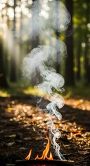 A small campfire burning on the forest floor with smoke rising into the air amidst trees and sunlight filtering through the leaves during daytime