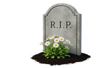 A tombstone with rip inscription and a small cluster of white daisies in front, isolated on transparent background