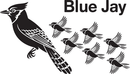 Detailed black blue jay with seven small stylized flying birds decorative graphic vector illustration set