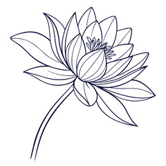 Elegant line art illustration of a lotus flower isolated on the delicate petals and stem are rendered in a clean, minimalist style, perfect for various design projects