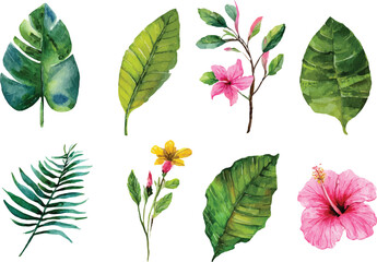 set of green leaves isolated