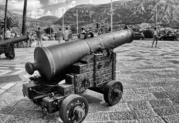 cannon in the fortress