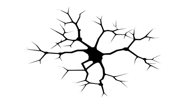 Neuron dendrite black isolated silhouette science biology nervous system brain connection abstract medical structure single organic web network education anatomy detail microscopic cell