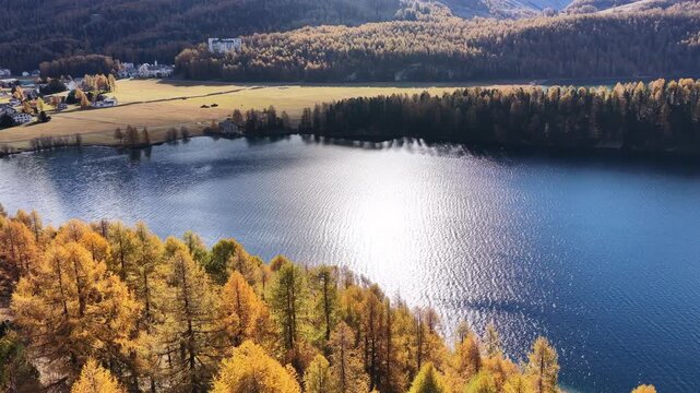 Peaceful autumn view of Lake Sils in Switzerland&rsquo;s Engadin valley, where golden larch forests meet calm blue waters and small residential houses rest along the alpine edge.