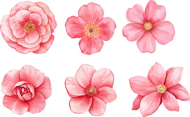 set of pink flowers isolated
