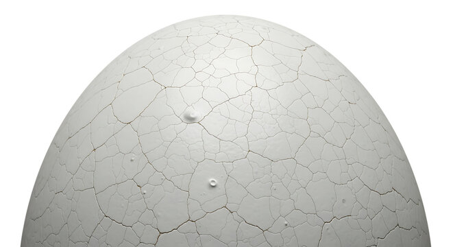 Cracked white egg shell surface on transparent background close up illustration