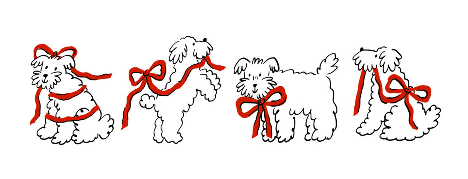 Cute Dog With elegant ribbon and bow. Pet Sketch illustration in a playful doodle style. Valentine's Day print - vector clipart. Whimsical romantic print