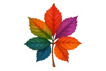 Colorful autumn leaf with rainbow spectrum design, showing vibrant seasonal change on transparent background