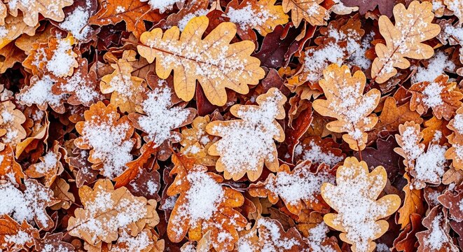 Autumnal Oak Leaves with Snowflakes - A Seasonal Composition.
