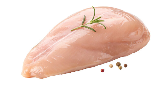 Raw chicken breast with rosemary and peppercorns isolated on transparent background