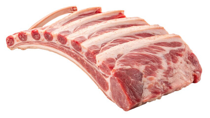 Rack of lamb ribs with fat and bone, raw meat isolated on transparent background
