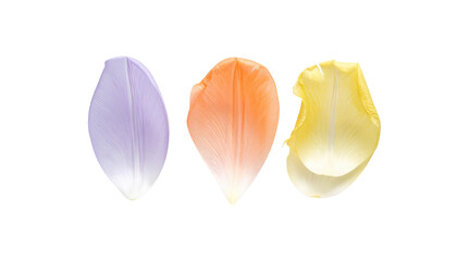 Three isolated flower petals, lavender, orange, and yellow, with a subtle gradient effect and white outlines, on a black background