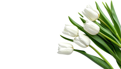 Close-up of four white flowers with green leaves on a stark black background. The arrangement appears delicate and fresh