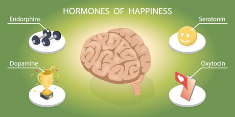 Happy brain chemicals: endorphins, serotonin, dopamine, oxytocin.  Labeled isometric educational flat banner.