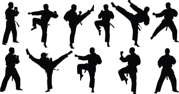 Martial arts fighters performing high kicks, karate silhouettes in action poses, black belt training and self defense practice, combat sport athletes exercising, 