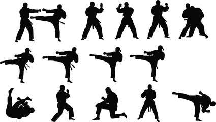 Martial arts fighters sparring and grappling, karate silhouettes in attack and defense poses, self defense training with kicks and punches, combat sport a