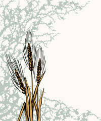 A Bible parable. The grain fell into the thorns. Vector drawing