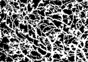 Branches of Blackthorn. Vector drawing