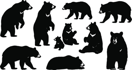 Wild bear silhouettes family collection, adult bears walking standing sitting and lying down, mother bear with cub illustration, forest wildlife animal poses set, 