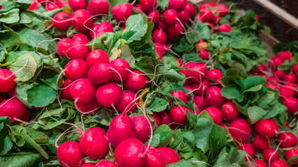 Red radishes with leaves in rustic market crate