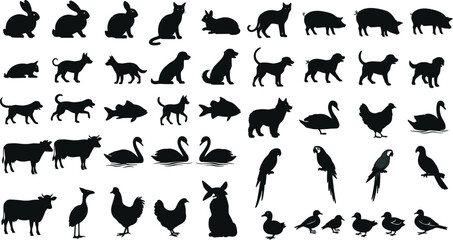 Obraz premium Farm and pet animal silhouettes collection, cats dogs rabbits pigs cows chickens swans fish and birds, domestic animals in different poses, livestock and 