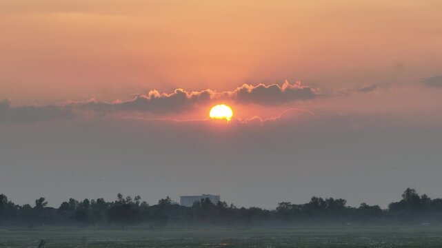 Foggy magical winter morning scenic view. Real beauty of rural Bangladesh. Countryside villages 4k video footage